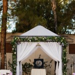 LoveLocks Tree of Life Wedding Ceremony
